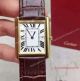 2017 Knockoff Cartier Tank Solo Gold 27mm White Dial Brown Leather Band Watch (1)_th.jpg